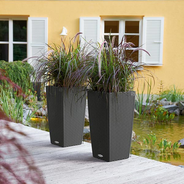 ����ȭ �ץ�󥿡� ������� �����ǥ˥󥰻��� ȭ ����塼�� �����Υߡ� ���ơ��� 30 COTTAGE �Ѹ��� UV�ù� ���ʼ� ���� ����� �ץ饹���å� LE-6030 ����̵�� 