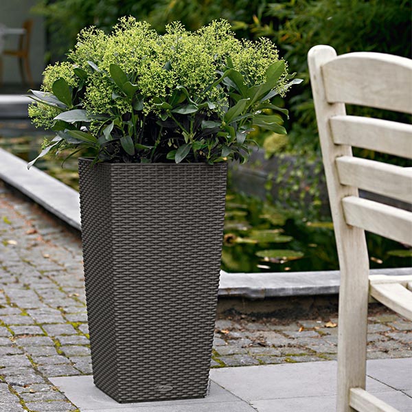 ����ȭ �ץ�󥿡� ������� �����ǥ˥󥰻��� ȭ ����塼�� �����Υߡ� ���ơ��� 30 COTTAGE �Ѹ��� UV�ù� ���ʼ� ���� ����� �ץ饹���å� LE-6030 ����̵�� 