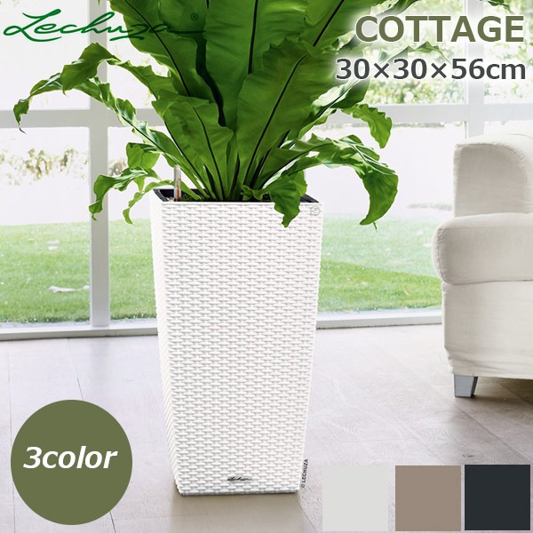 ����ȭ �ץ�󥿡� ������� �����ǥ˥󥰻��� ȭ ����塼�� �����Υߡ� ���ơ��� 30 COTTAGE �Ѹ��� UV�ù� ���ʼ� ���� ����� �ץ饹���å� LE-6030 ����̵�� 