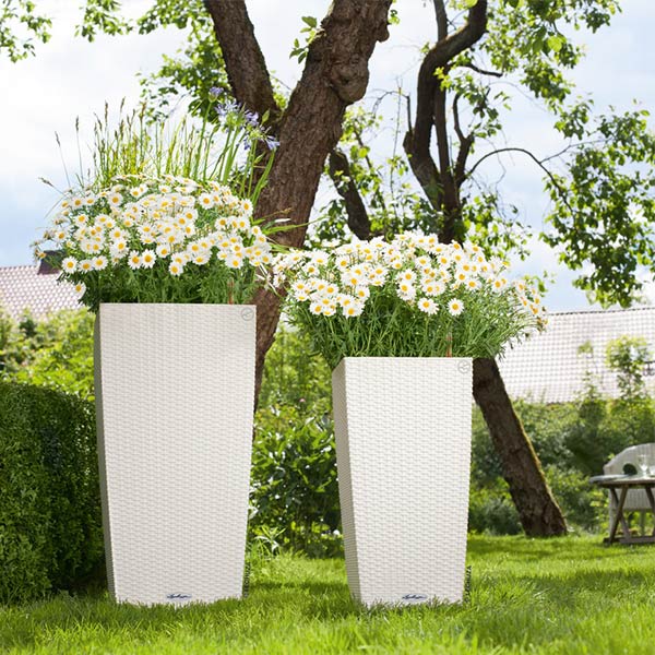 ����ȭ �ץ�󥿡� ������� �����ǥ˥󥰻��� ȭ ����塼�� �����Υߡ� ���ơ��� 30 COTTAGE �Ѹ��� UV�ù� ���ʼ� ���� ����� �ץ饹���å� LE-6030 ����̵�� 