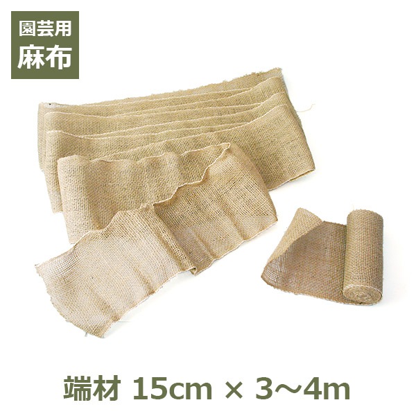  ü 15cm34m ȥå  ǥ˥    ʥ ̵  ơ  ̤ ڤü 