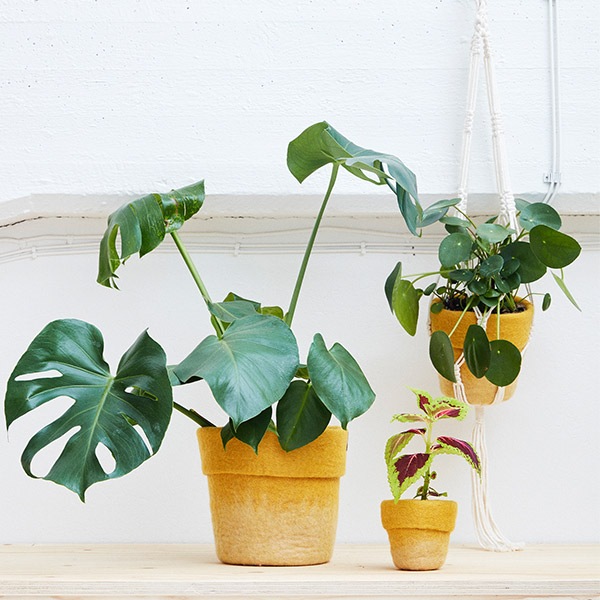 ȭ���С� ������� ���� �ϥ󥭥󥰥ץ�󥿡� �ɳݤ� �ߤ뤹 �ե� �ϥ󥮥� �ݥå� ȭ���å� ��ȭ Ĺ��100cm �ʥ����� �̲� ������ �� ���տ�ʪ ����̵�� 