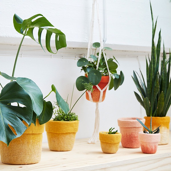 ȭ���С� ������� ���� �ϥ󥭥󥰥ץ�󥿡� �ɳݤ� �ߤ뤹 �ե� �ϥ󥮥� �ݥå� ȭ���å� ��ȭ Ĺ��100cm �ʥ����� �̲� ������ �� ���տ�ʪ ����̵�� 