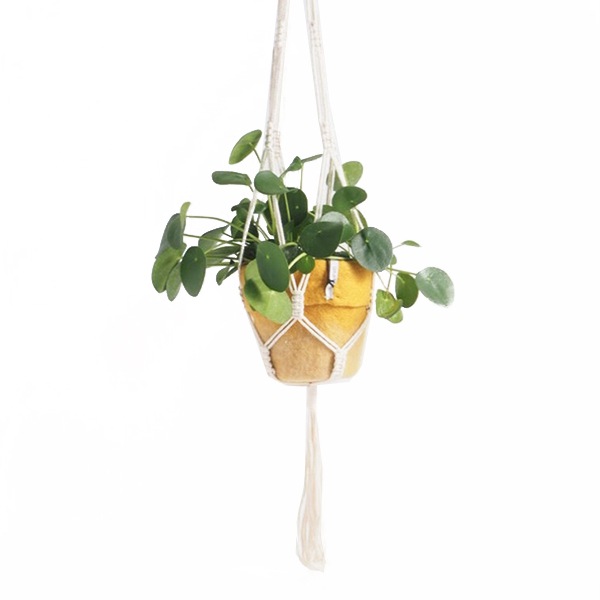 ȭ���С� ������� ���� �ϥ󥭥󥰥ץ�󥿡� �ɳݤ� �ߤ뤹 �ե� �ϥ󥮥� �ݥå� ȭ���å� ��ȭ Ĺ��100cm �ʥ����� �̲� ������ �� ���տ�ʪ ����̵�� 