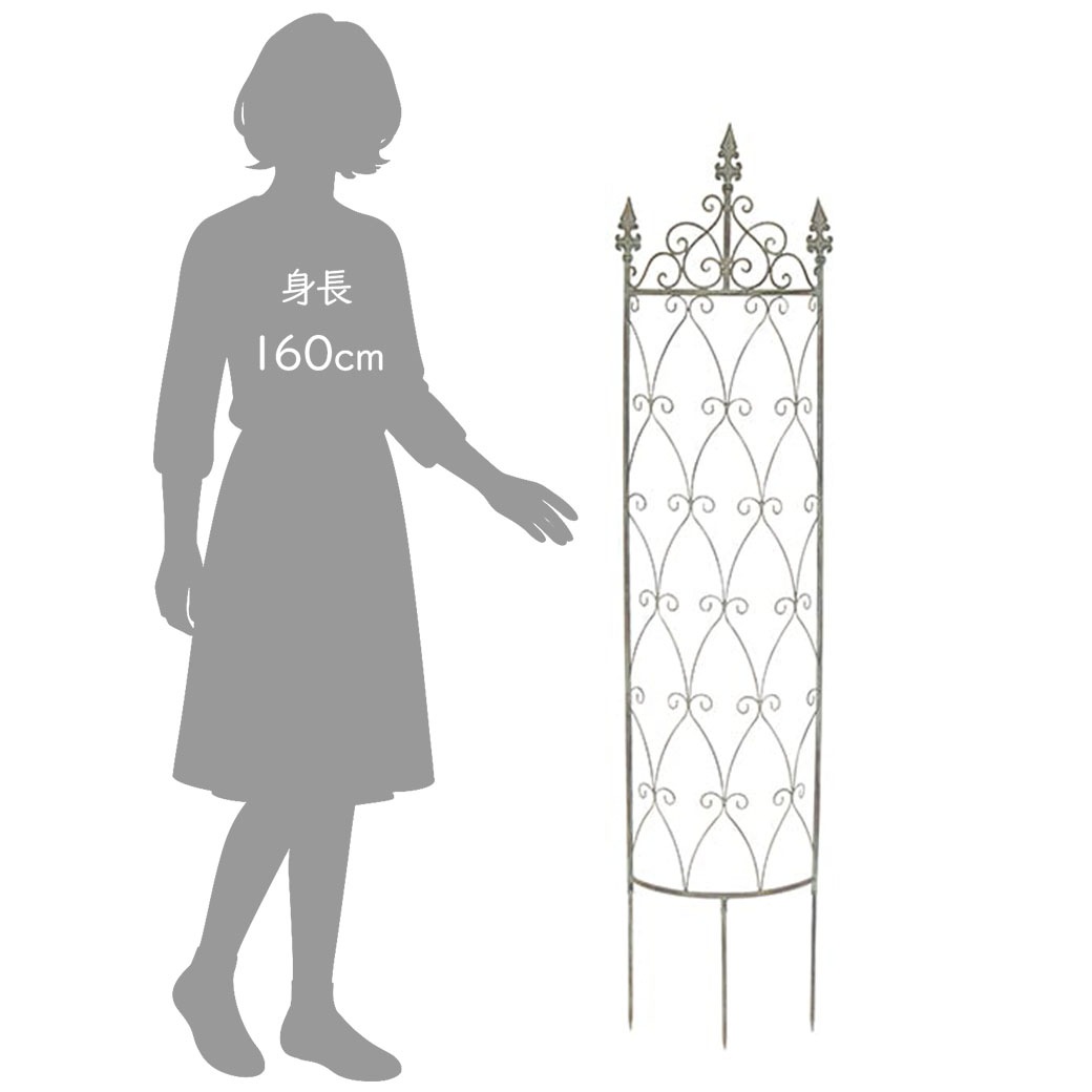 �����ǥ�ե��� ��������ե��� ���ťե��� �ե��� �������ե��� ������� ����ƥ����� �ܱ��� ���� �����ǥ˥� ���� ��ݻ�� ¼ ����̵�� 