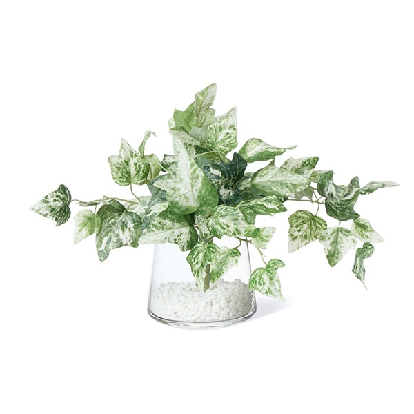 �ե��������꡼�� ���տ�ʪ �͹����տ�ʪ ¤�� ��� �Ĥ�����ʪ �����ӡ� ���� ���饹�١�������� ���꡼�� ������� ��ʪ ����ƥꥢ PRGR-1450 GREENPARK 