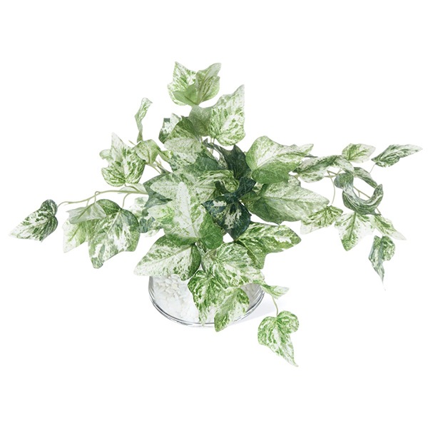 �ե��������꡼�� ���տ�ʪ �͹����տ�ʪ ¤�� ��� �Ĥ�����ʪ �����ӡ� ���� ���饹�١�������� ���꡼�� ������� ��ʪ ����ƥꥢ PRGR-1450 GREENPARK 