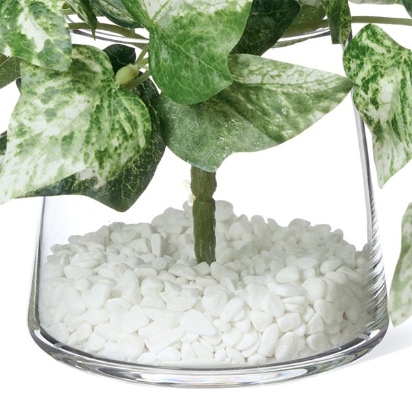 �ե��������꡼�� ���տ�ʪ �͹����տ�ʪ ¤�� ��� �Ĥ�����ʪ �����ӡ� ���� ���饹�١�������� ���꡼�� ������� ��ʪ ����ƥꥢ PRGR-1450 GREENPARK 