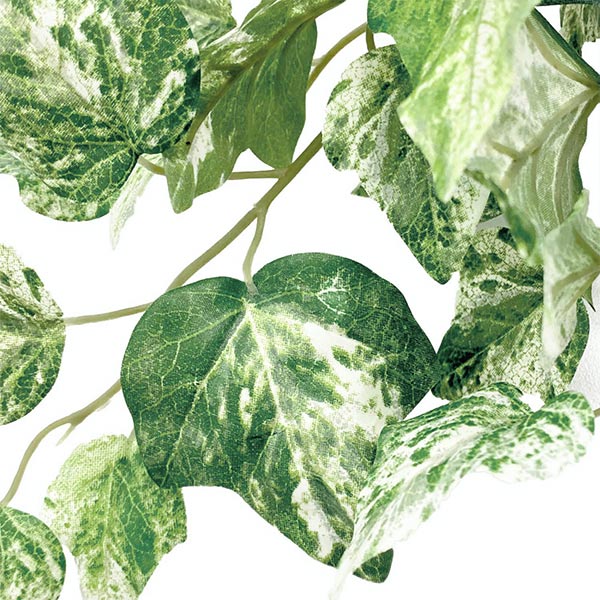 �ե��������꡼�� ���տ�ʪ �͹����տ�ʪ ¤�� ��� �Ĥ�����ʪ �����ӡ� ���� ���饹�١�������� ���꡼�� ������� ��ʪ ����ƥꥢ PRGR-1450 GREENPARK 