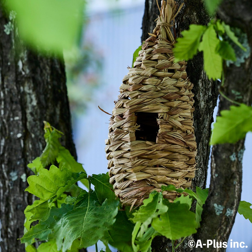 �С��� �ϥ��� Ļ ��Ȣ �� �� ���27mm �С��ɥ����å��� ��Ļ �ѻ� ���� Ļ���� ��Ļ �� ���� ���� ���Ĳ�ǽ �����奦���� Ļ�� ���å��㡼�� ESSCHERT ����̵�� 