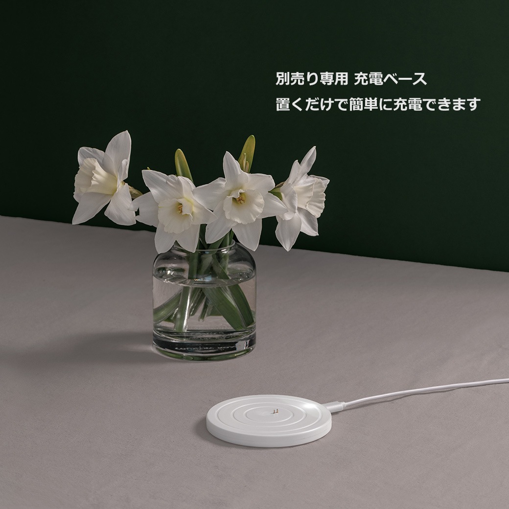 LED ɥ 餮 ż ɿ ⥳ б ɤ W612cm  uyuni  å ޡ ɥ쥹 饤 ץ 㡼֥ åԥб 