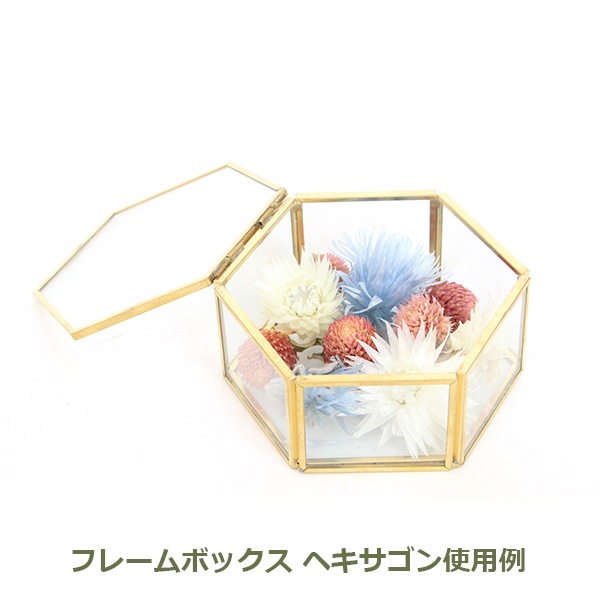 ���������꡼������ ������� �İ��� ���������꡼ ��Ǽ ���奨�꡼�ܥå��� ���奨�꡼������ ���쥯�����ܥå��� �ե졼��ܥå��� L������ ¼�Ĳ����� 9208 ����̵�� 