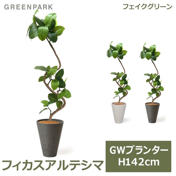 ե꡼ տʪ ͸տʪ ¤ 緿 ե ƥ GW ץ󥿡 142cm ʪ  ȭå ȭդ ͵ Ź PRGR-1291 GREENPARK 