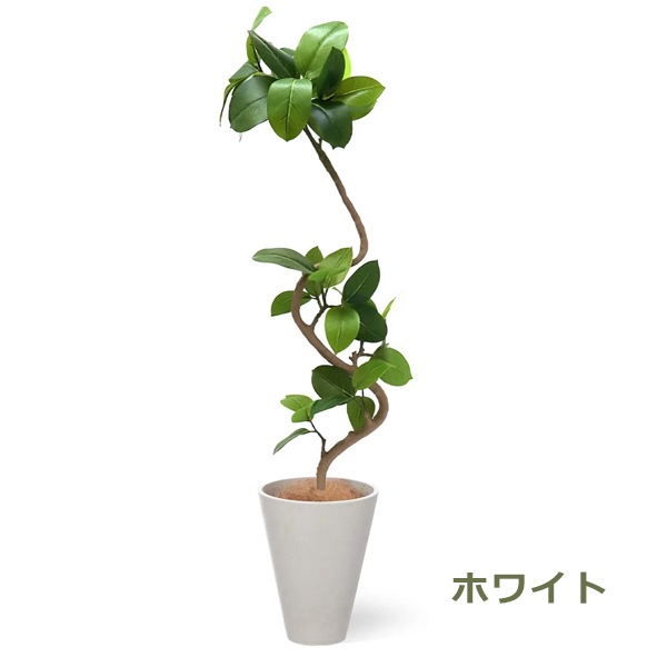 ե꡼ տʪ ͸տʪ ¤ 緿 ե ƥ GW ץ󥿡 142cm ʪ  ȭå ȭդ ͵ Ź PRGR-1291 GREENPARK 