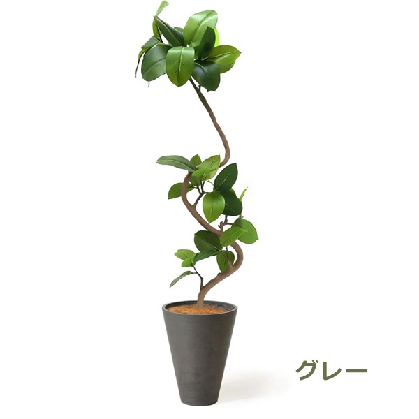 ե꡼ տʪ ͸տʪ ¤ 緿 ե ƥ GW ץ󥿡 142cm ʪ  ȭå ȭդ ͵ Ź PRGR-1291 GREENPARK 