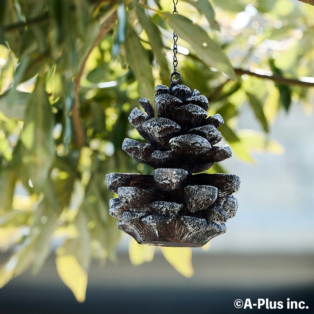 �С��� �ե������� ��Ļ ���� �� ��´� �ߤ겼���� �ѻ� �С��ɥ����å��� �� ���� ���ܤä��귿 Ļ ������ �� ���� ��Ļ Ļ�� ���å��㡼�� ESSCHERT ����̵�� 