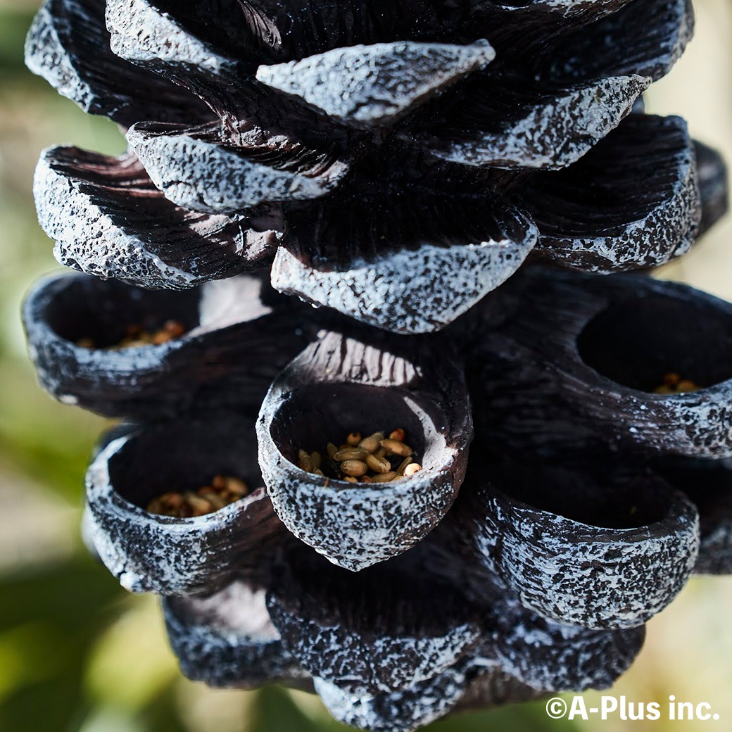 �С��� �ե������� ��Ļ ���� �� ��´� �ߤ겼���� �ѻ� �С��ɥ����å��� �� ���� ���ܤä��귿 Ļ ������ �� ���� ��Ļ Ļ�� ���å��㡼�� ESSCHERT ����̵�� 