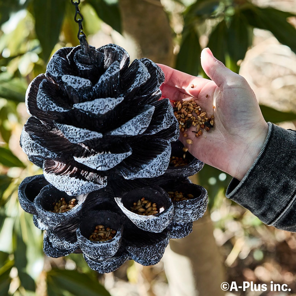 �С��� �ե������� ��Ļ ���� �� ��´� �ߤ겼���� �ѻ� �С��ɥ����å��� �� ���� ���ܤä��귿 Ļ ������ �� ���� ��Ļ Ļ�� ���å��㡼�� ESSCHERT ����̵�� 