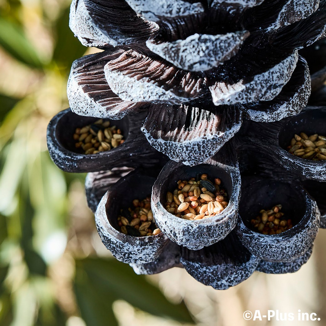 �С��� �ե������� ��Ļ ���� �� ��´� �ߤ겼���� �ѻ� �С��ɥ����å��� �� ���� ���ܤä��귿 Ļ ������ �� ���� ��Ļ Ļ�� ���å��㡼�� ESSCHERT ����̵�� 