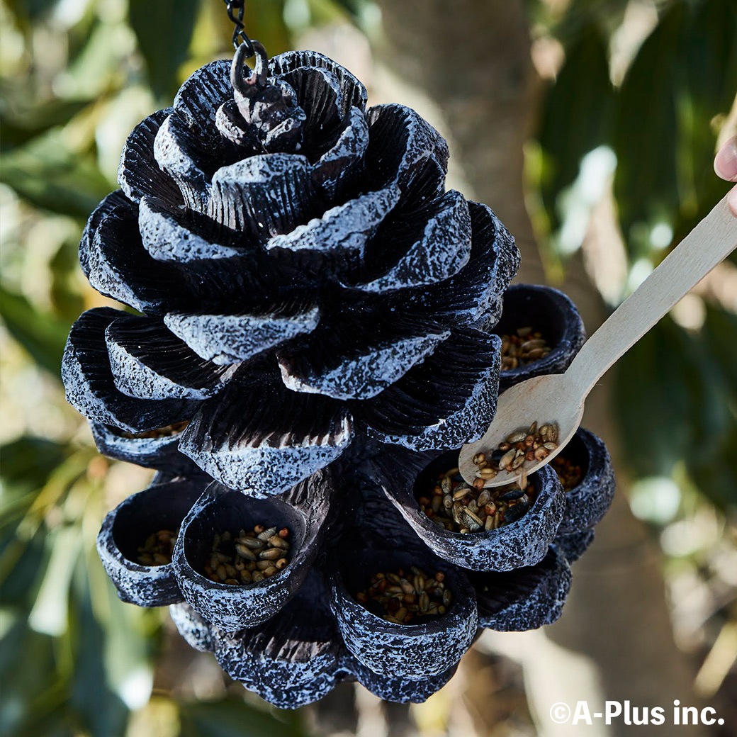 �С��� �ե������� ��Ļ ���� �� ��´� �ߤ겼���� �ѻ� �С��ɥ����å��� �� ���� ���ܤä��귿 Ļ ������ �� ���� ��Ļ Ļ�� ���å��㡼�� ESSCHERT ����̵�� 