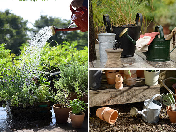 ���礦�� ���硼�� �֥ꥭ 4L ����С� ������� ���襤�� �����ǥ˥� �� ���� ���� ���� ���� �Υ��� �ԥå��㡼 �庹�� �Ϥ��� ��ȥ� �����ǥ� �ȥ륳�� ����̵�� 