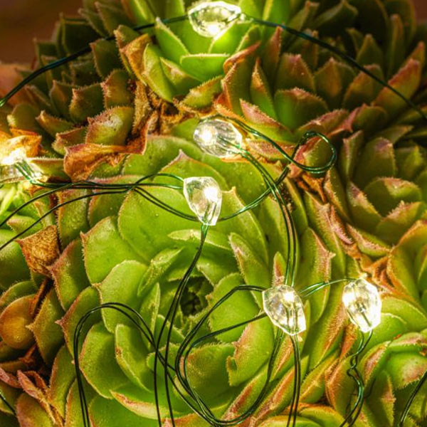 ����ߥ͡������ LED�饤�� �ž� ���ꥹ�ޥ� ���� �饤�� 3.9m ��������� LED 40�� ���٥�� ����ƥꥢ �����⥳���б� ���ꥦ�� SIRIUS Maggie 30836 ����̵�� ��åԥ��б� 