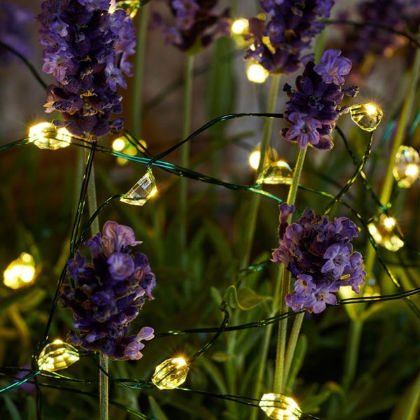 ����ߥ͡������ LED�饤�� �ž� ���ꥹ�ޥ� ���� �饤�� 3.9m ��������� LED 40�� ���٥�� ����ƥꥢ �����⥳���б� ���ꥦ�� SIRIUS Maggie 30836 ����̵�� ��åԥ��б� 