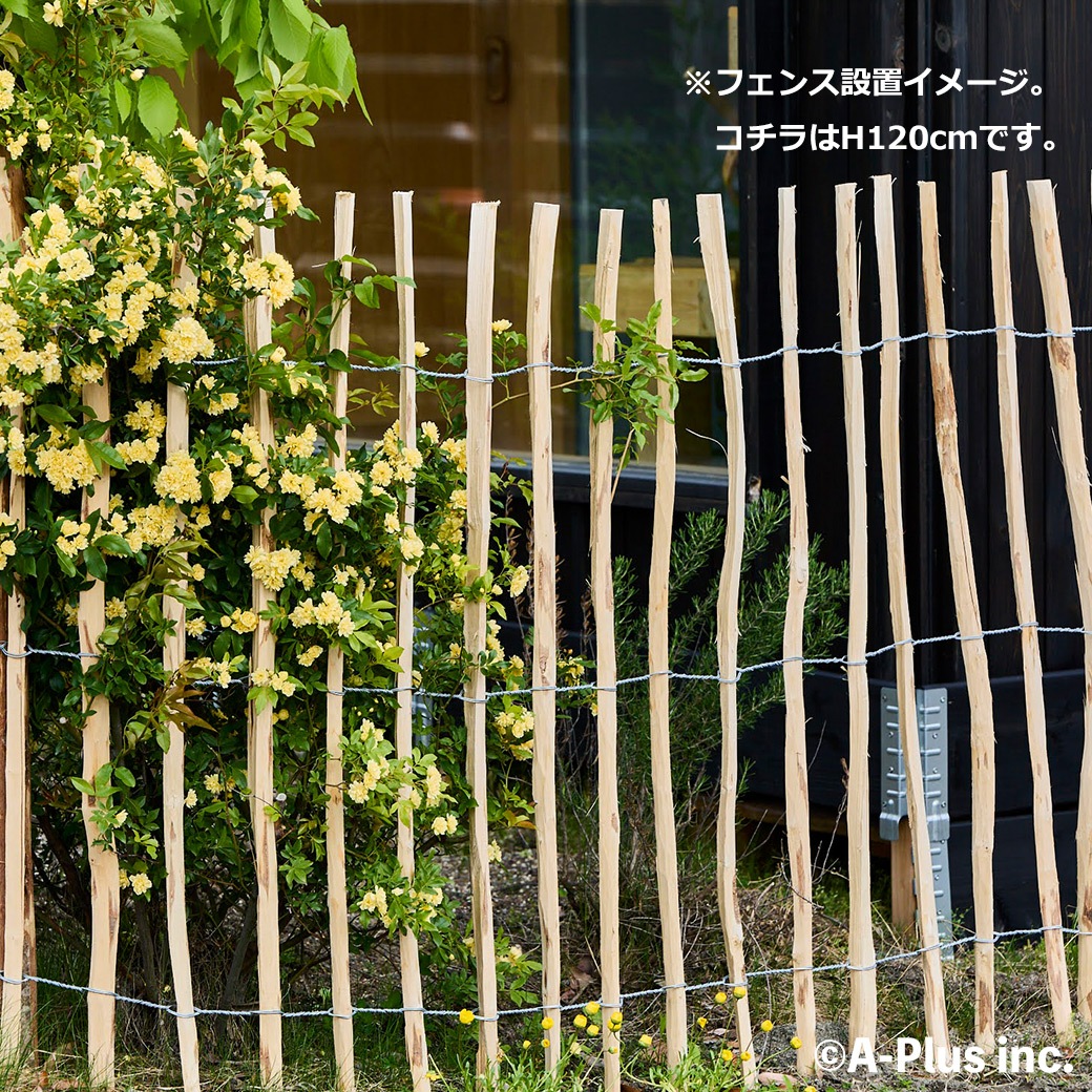 ե DIY   H90cm 5m ءʥå ʥ ץ  ɥå ϥХ    ŷǺ Ϥ ڤ   ǥ˥ ̵ 