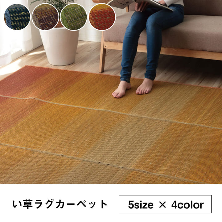 �饰 �������� ��³�����ݺ� KOBA-GUARD ���� �����ɽ� ���ߤ� ���쥿�� �Կ��� �� ���� ����ǡ������ �֥롼 ��190��190cm �����ڥå� �� �����ҥ� 1070480043203 ����̵�� 