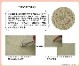 �饰 �������� ��³�����ݺ� KOBA-GUARD ���� �����ɽ� ���ߤ� ���쥿�� �Կ��� �� ���� ����ǡ������ �֥롼 ��190��190cm �����ڥå� �� �����ҥ� 1070480043203 ����̵�� 