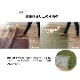 �饰 �������� ��³�����ݺ� KOBA-GUARD ���� �����ɽ� ���ߤ� ���쥿�� �Կ��� �� ���� ����ǡ������ �֥롼 ��190��190cm �����ڥå� �� �����ҥ� 1070480043203 ����̵�� 