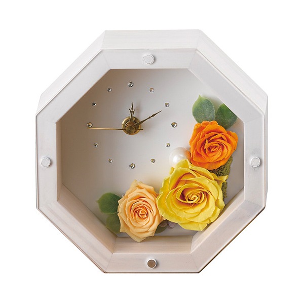 �ͣϣ̣� �ۥ磻�ȡʥץꥶ���֥ɥե��� �������� ���ե� ̵������ �ץ쥼��� ������� ���襤�� ��ˤ� ���ˤ� ���֤� ����ʪ ���渵 ������ £���� ����̵�� 