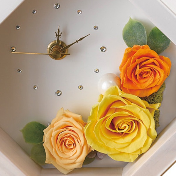 �ͣϣ̣� �ۥ磻�ȡʥץꥶ���֥ɥե��� �������� ���ե� ̵������ �ץ쥼��� ������� ���襤�� ��ˤ� ���ˤ� ���֤� ����ʪ ���渵 ������ £���� ����̵�� 