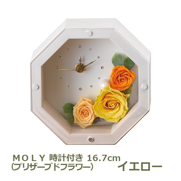 �ͣϣ̣� �ۥ磻�ȡʥץꥶ���֥ɥե��� �������� ���ե� ̵������ �ץ쥼��� ������� ���襤�� ��ˤ� ���ˤ� ���֤� ����ʪ ���渵 ������ £���� ����̵�� 