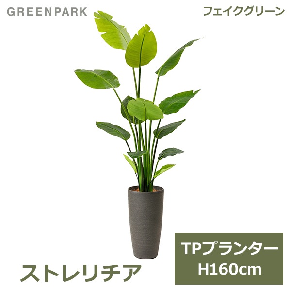 ե꡼ տʪ 緿 ꡼ ȥ TPץ󥿡 H160cm ƥꥢ  ץ  ӥ ͹տʪ PRGR-1045 GREENPARK ̵