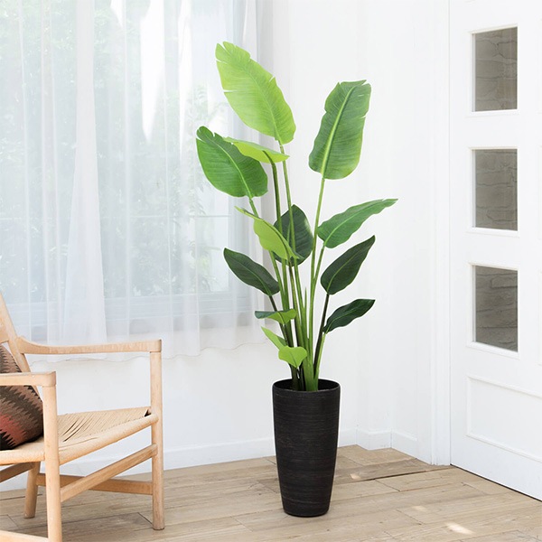 ե꡼ տʪ ͸տʪ ¤ 緿 ꡼ ȥ TPץ󥿡 H160cm ƥꥢ  ץ ӥ PRGR-1045 GREENPARK ̵ 