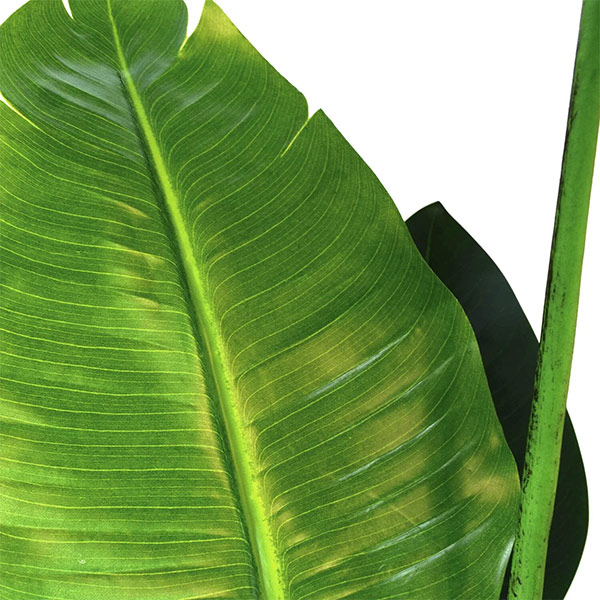 ե꡼ տʪ ͸տʪ ¤ 緿 ꡼ ȥ TPץ󥿡 H160cm ƥꥢ  ץ ӥ PRGR-1045 GREENPARK ̵ 
