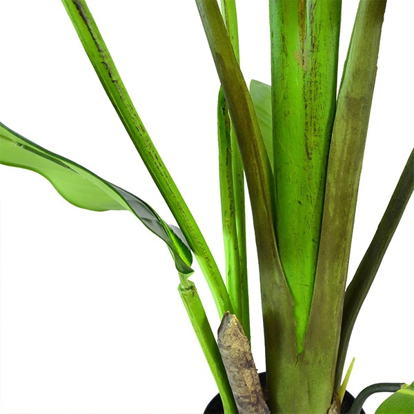 ե꡼ տʪ ͸տʪ ¤ 緿 ꡼ ȥ TPץ󥿡 H160cm ƥꥢ  ץ ӥ PRGR-1045 GREENPARK ̵ 