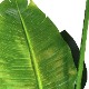 ե꡼ տʪ ͸տʪ ¤ 緿 ꡼ ȥ TPץ󥿡 H160cm ƥꥢ  ץ ӥ PRGR-1045 GREENPARK ̵ 