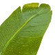 ե꡼ տʪ ͸տʪ ¤ 緿 ꡼ ȥ TPץ󥿡 H160cm ƥꥢ  ץ ӥ PRGR-1045 GREENPARK ̵ 