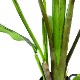 ե꡼ տʪ ͸տʪ ¤ 緿 ꡼ ȥ TPץ󥿡 H160cm ƥꥢ  ץ ӥ PRGR-1045 GREENPARK ̵ 
