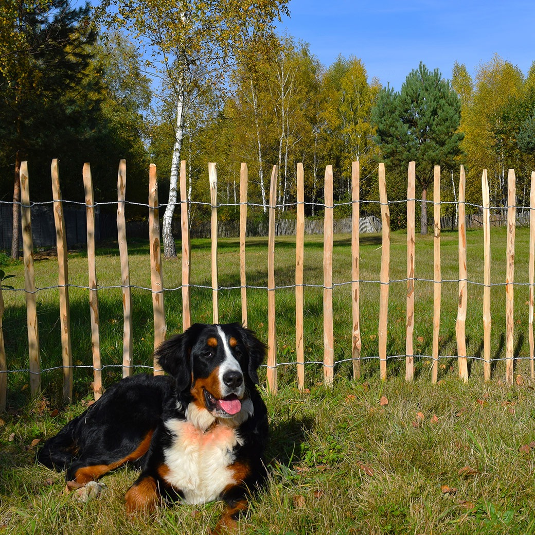 �ե��� DIY ���� ���� H120cm 5m �ء�����ʥå� �ʥ����� ����ץ� ���� �ɥå���� �ϥ��Х� ���� �� ������ ŷ���Ǻ� �Ϥ� ���ڤ� ��� �� �����ǥ˥� ����̵�� 