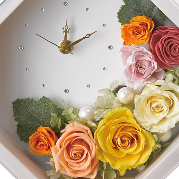 �̣ϣ̣� �ۥ磻�ȡʥץꥶ���֥ɥե��� �������� ���ե� ̵������ �ץ쥼��� ������� ���襤�� ��ˤ� ���ˤ� ���֤� ����ʪ ���渵 ������ £���� ����̵�� 