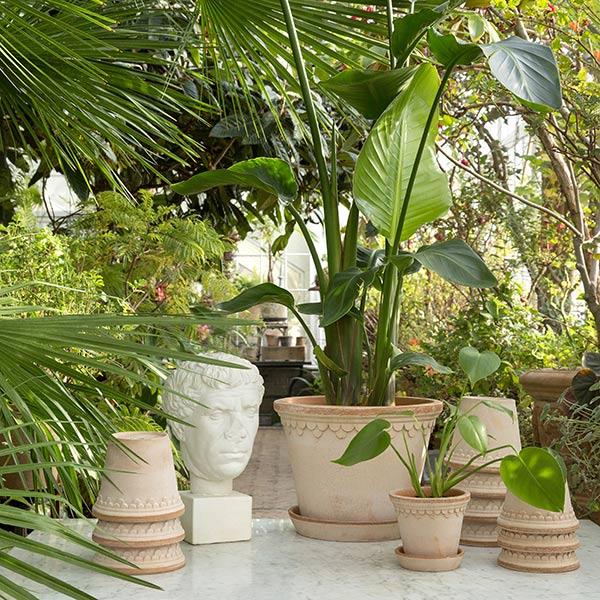 ȭ ƥ饳å 7 6 ľ21cm ⤵19cm ꥢ  襤  ǾƤ ȭ   å ݷ 졼 ݥå ڥϡ 