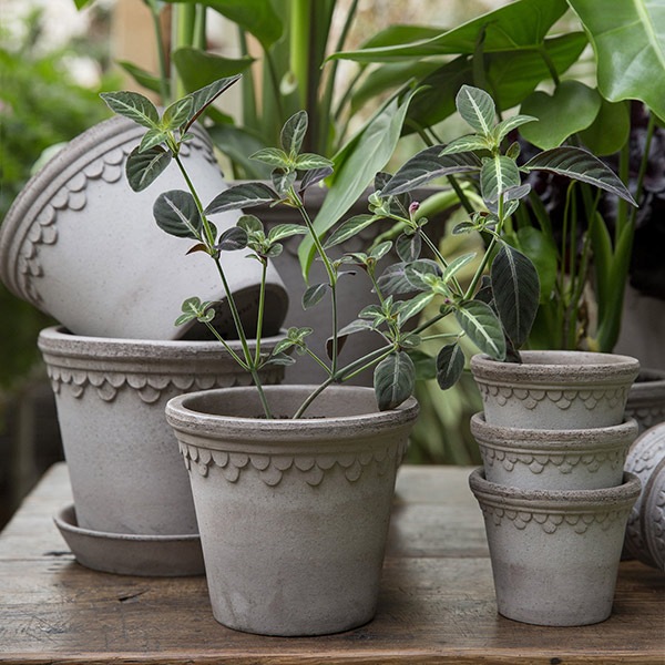 ȭ ƥ饳å 7 6 ľ21cm ⤵19cm ꥢ  襤  ǾƤ ȭ   å ݷ 졼 ݥå ڥϡ 