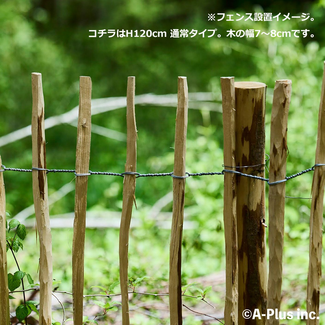 �ե��� DIY ���� ���� H120cm 5m ���� �ء�����ʥå� �ʥ����� ����ץ� ���� �ɥå���� �ϥ��Х� �� ������ ŷ���Ǻ� �Ϥ� ���ڤ� ��� �� �����ǥ˥� ����̵�� 