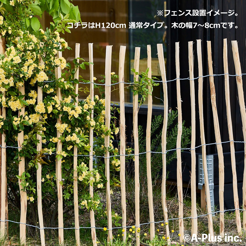 �ե��� DIY ���� ���� H120cm 5m ���� �ء�����ʥå� �ʥ����� ����ץ� ���� �ɥå���� �ϥ��Х� �� ������ ŷ���Ǻ� �Ϥ� ���ڤ� ��� �� �����ǥ˥� ����̵�� 