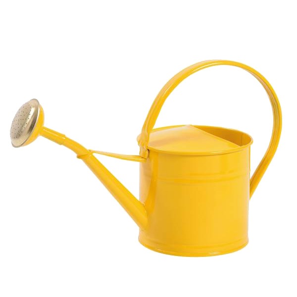 礦 硼  ֥ꥭ 1.5L 顼 ߥ  襤 ǥ˥    Υ ԥå㡼   ȥ ǥ ȥ륳 ̵ åԥб 