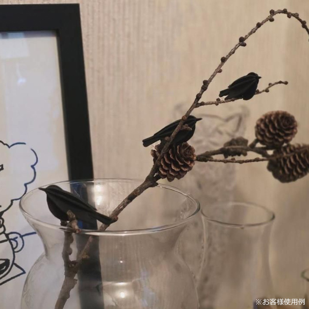 Ļ �ߥ� �С��� bird 5cm ����ƥꥢ �̲� ���� ���֥��� lovi ������ ���� ����ץ� �ʥ����� ������� �İ��� �ڹ� ���ե� �ץ쥼��� �֥롼 �֥�å� 