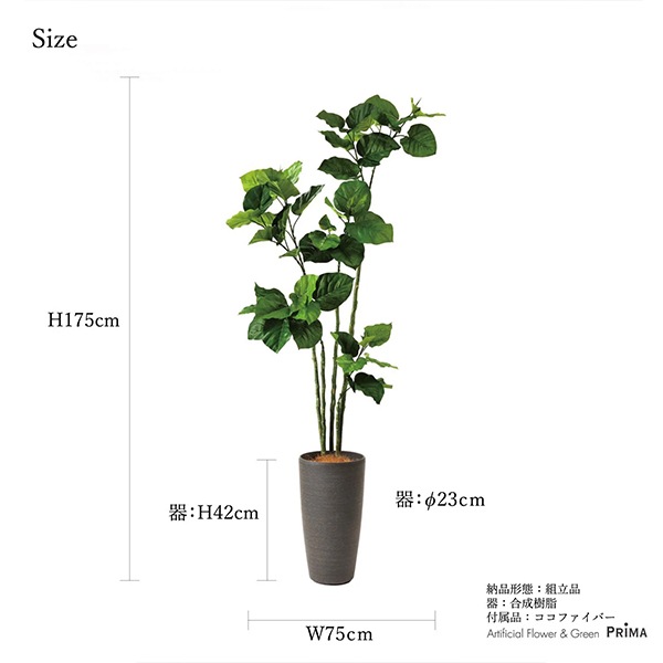 ե꡼ տʪ ͸տʪ ¤ 緿 ꡼ ٥顼 TPץ󥿡 H175cm ƥꥢ  ͵ ե  PRGR-1372 GREENPARK ̵ 